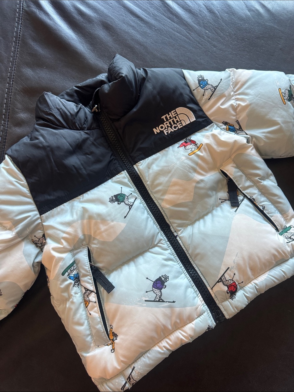 The North Face Kids Black & Light Gray Ski Puffer Jacket with Skier Print